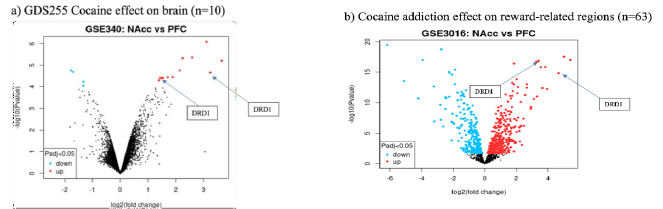 Biomedical Science &, Research Biomedical Science &, Research