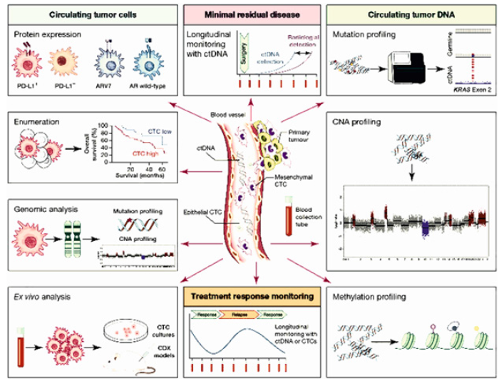Biomedical Science &, Research Biomedical Science &, Research