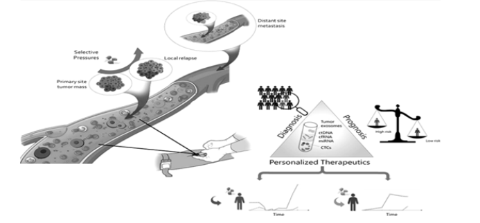 Biomedical Science &, Research Biomedical Science &, Research