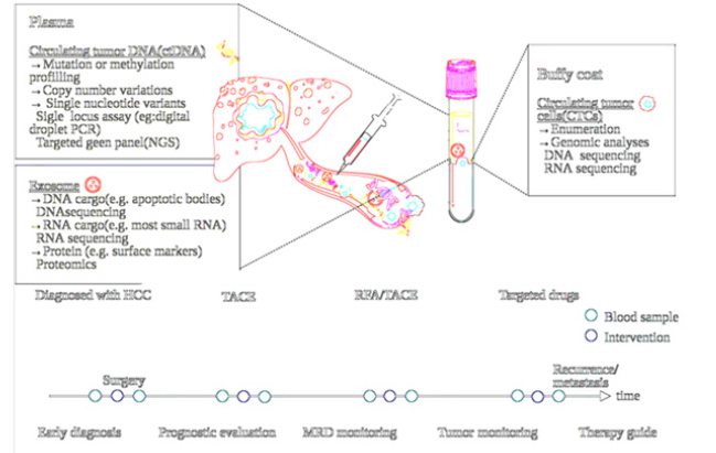 Biomedical Science &, Research Biomedical Science &, Research