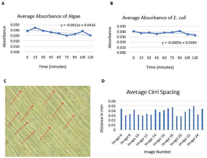 Biomedical Science &, Research Biomedical Science &, Research