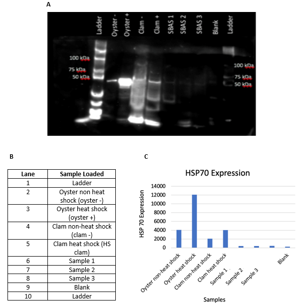 Biomedical Science &, Research Biomedical Science &, Research