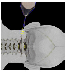 Biomedical Science &, Research Biomedical Science &, Research
