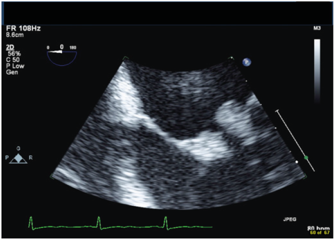 Biomedical Science & Research Biomedical Science & Research