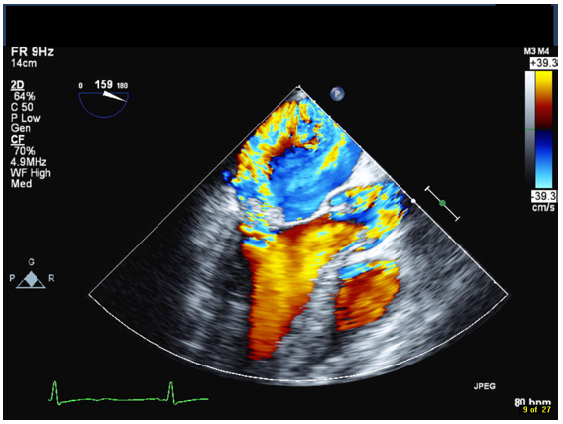 Biomedical Science & Research Biomedical Science & Research