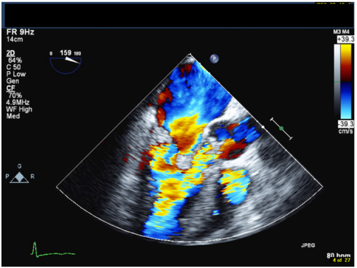 Biomedical Science & Research Biomedical Science & Research