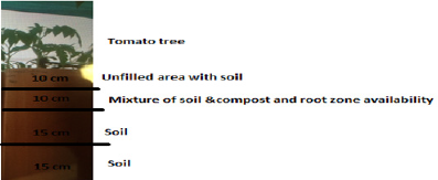 Biomedical Science & Research Biomedical Science & Research