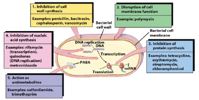 Biomedical Science & Research Biomedical Science & Research