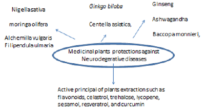 Biomedical Science & Research Biomedical Science & Research