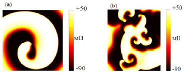 Biomedical Science & Research Biomedical Science & Research