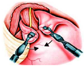 Biomedical Science & Research Biomedical Science & Research