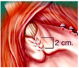 Biomedical Science & Research Biomedical Science & Research