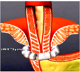 Biomedical Science & Research Biomedical Science & Research