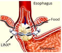 Biomedical Science & Research Biomedical Science & Research