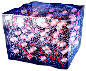 Biomedical Science & Research Biomedical Science & Research