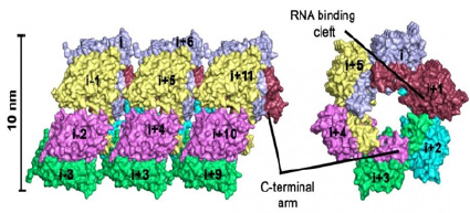 Biomedical Science & Research Biomedical Science & Research