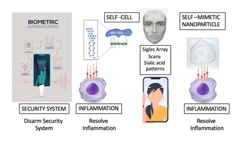 Biomedical Science &, Research Biomedical Science &, Research