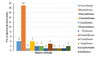 Biomedical Science &, Research Biomedical Science &, Research