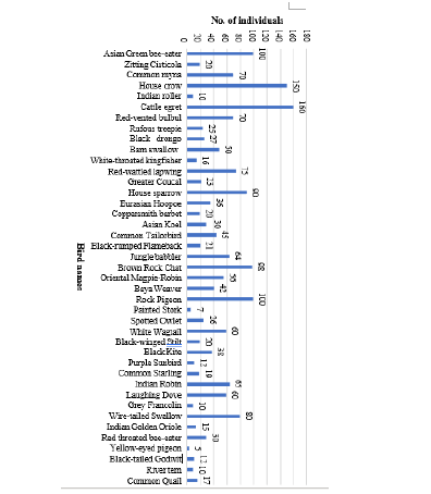 Biomedical Science &, Research Biomedical Science &, Research