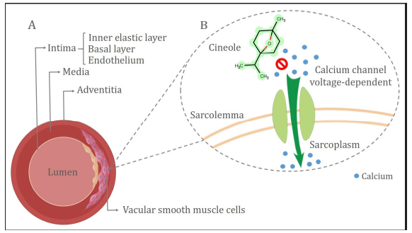 Biomedical Science &, Research Biomedical Science &, Research
