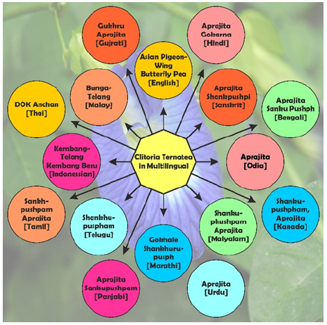 Biomedical Science &, Research Biomedical Science &, Research