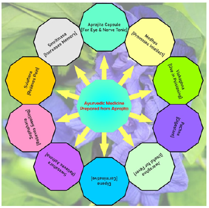 Biomedical Science &, Research Biomedical Science &, Research