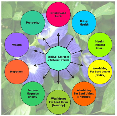 Biomedical Science &, Research Biomedical Science &, Research