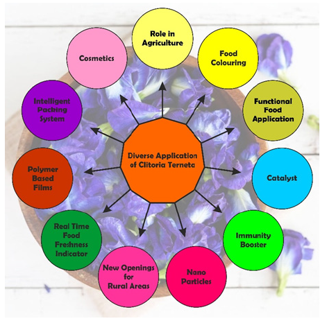 Biomedical Science &, Research Biomedical Science &, Research