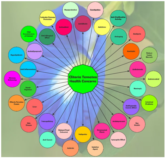 Biomedical Science &, Research Biomedical Science &, Research