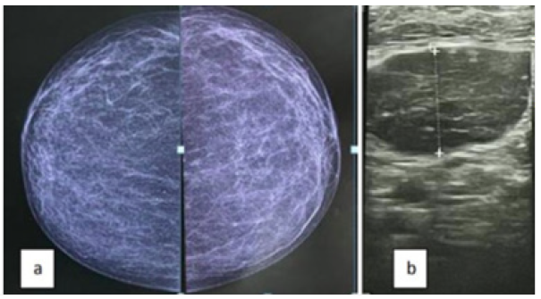 Biomedical Science &, Research Biomedical Science &, Research