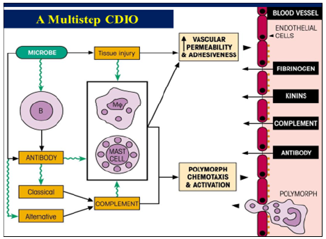 Biomedical Science &, Research Biomedical Science &, Research