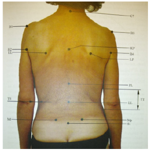 Biomedical Science &, Research Biomedical Science &, Research