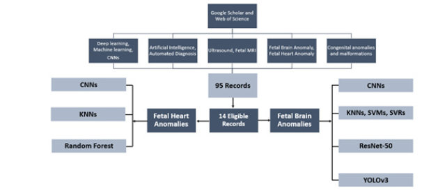 Biomedical Science &, Research Biomedical Science &, Research
