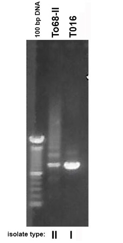 Biomedical Science &, Research Biomedical Science &, Research