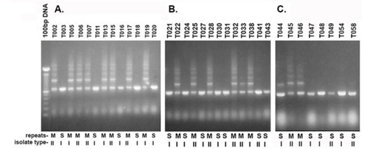 Biomedical Science &, Research Biomedical Science &, Research