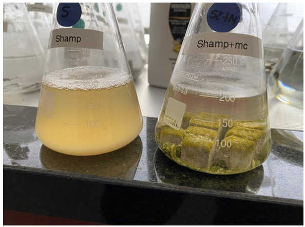 Biomedical Science &, Research Biomedical Science &, Research