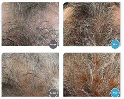 Biomedical Science &, Research Biomedical Science &, Research