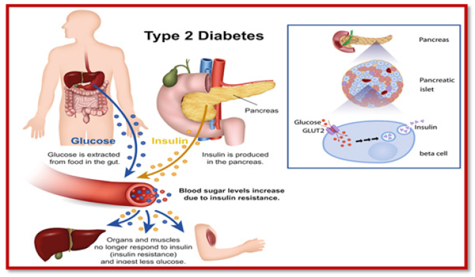 Biomedical Science &, Research Biomedical Science &, Research