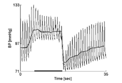 Biomedical Science &, Research Biomedical Science &, Research