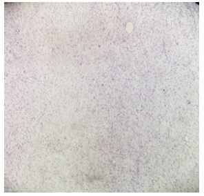 Biomedical Science &, Research Biomedical Science &, Research