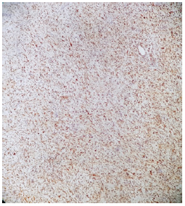 Biomedical Science &, Research Biomedical Science &, Research