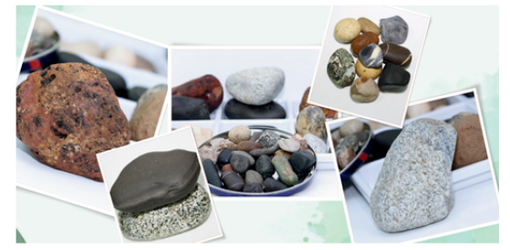 Biomedical Science &, Research Biomedical Science &, Research