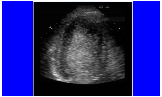 Biomedical Science &, Research Biomedical Science &, Research