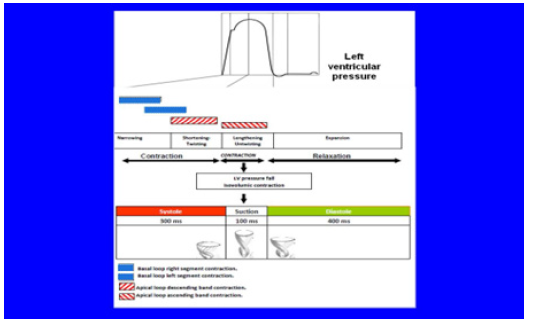 Biomedical Science &, Research Biomedical Science &, Research