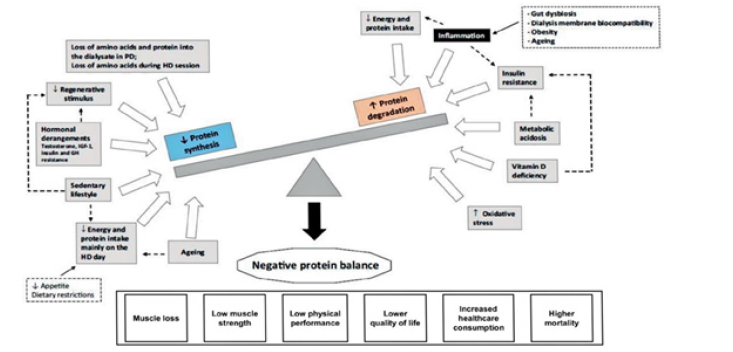 Biomedical Science &, Research Biomedical Science &, Research