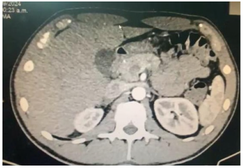 Biomedical Science &, Research Biomedical Science &, Research