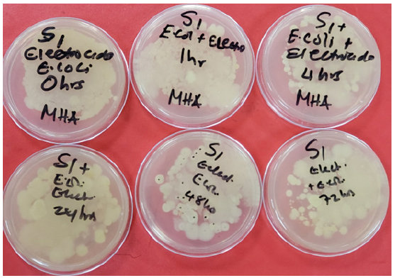Biomedical Science &, Research Biomedical Science &, Research