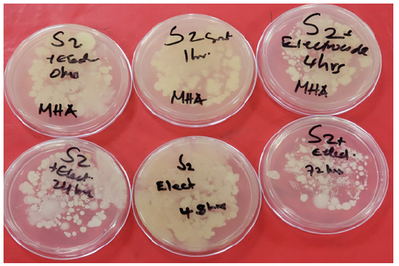 Biomedical Science &, Research Biomedical Science &, Research