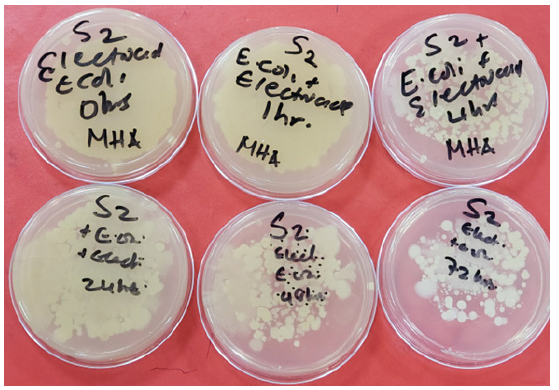 Biomedical Science &, Research Biomedical Science &, Research