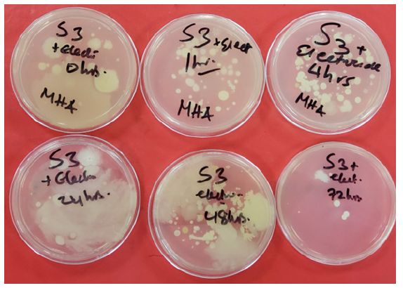 Biomedical Science &, Research Biomedical Science &, Research